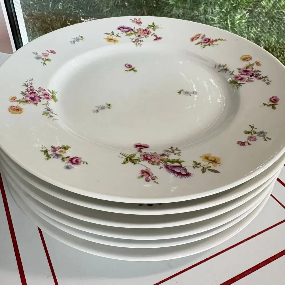 Bernardaud & Co Limoges delicate follow